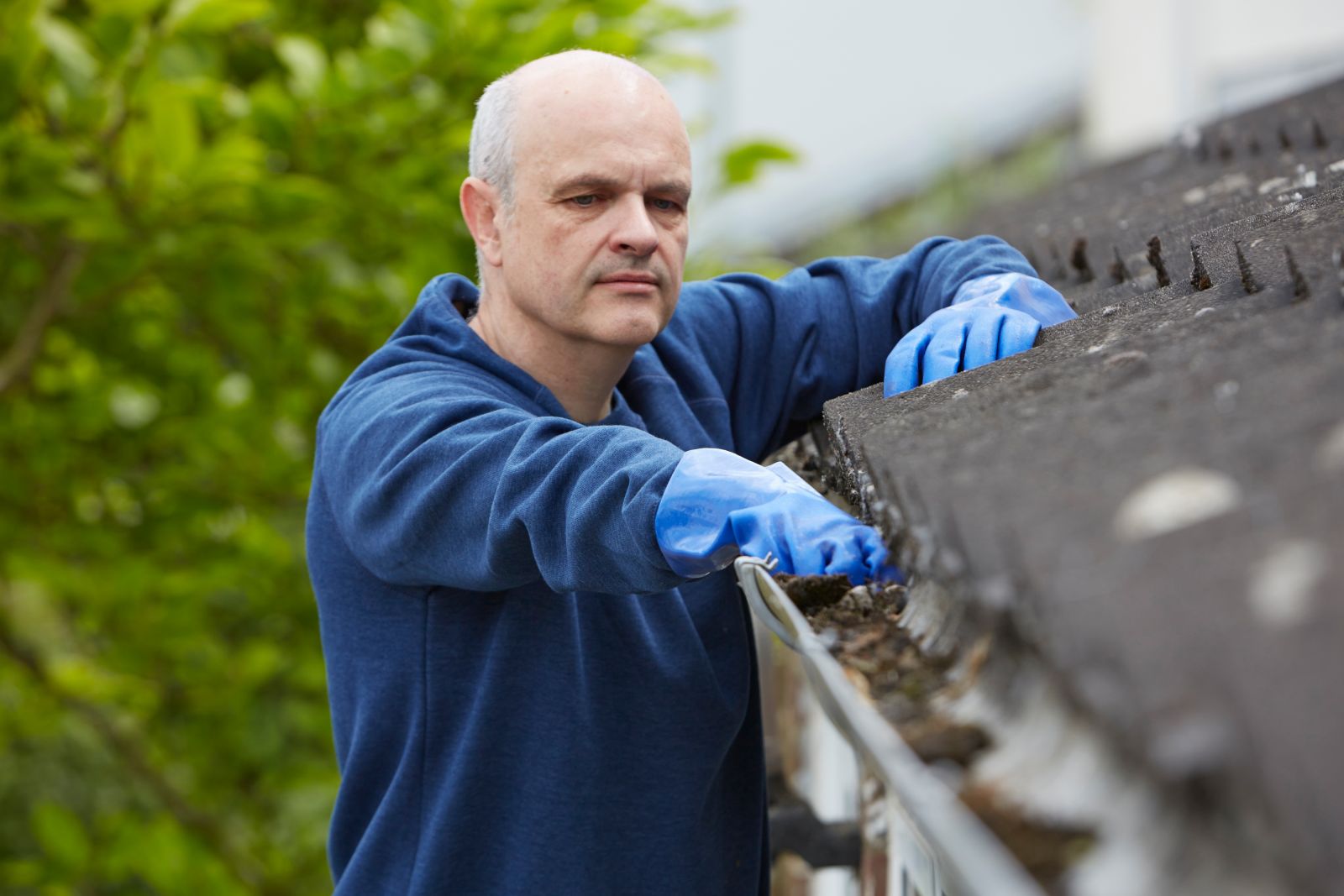 Restoration Professionals Images