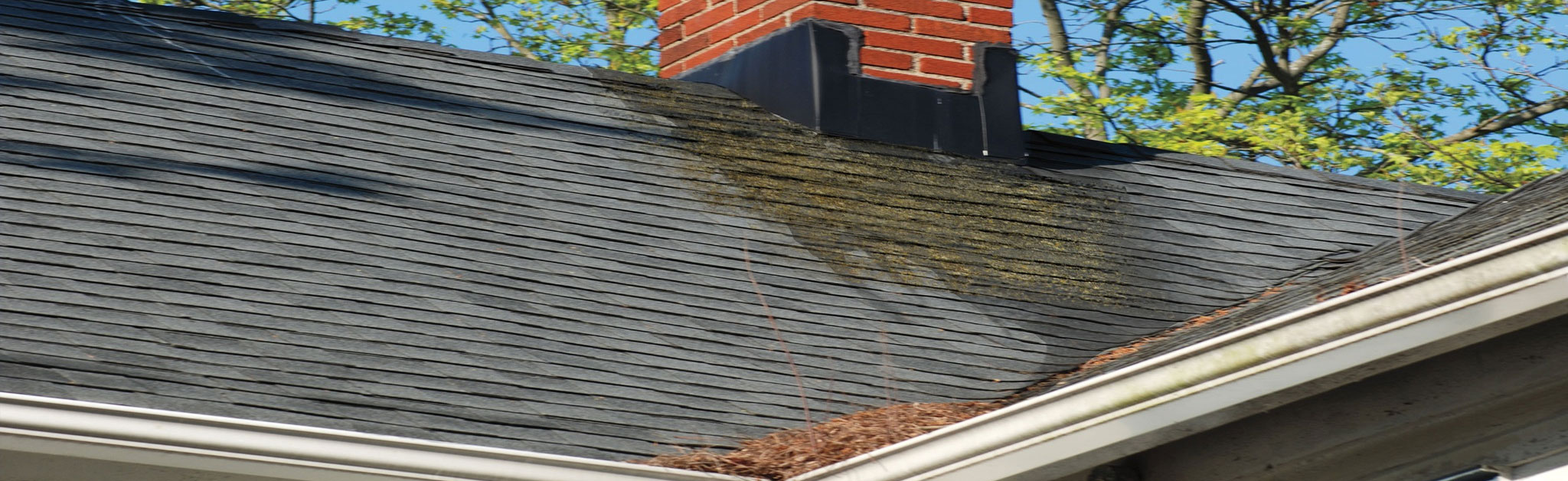 Restoration Professionals Images