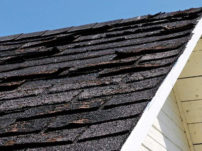 Restoration Professionals Images